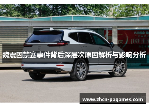 魏震因禁赛事件背后深层次原因解析与影响分析